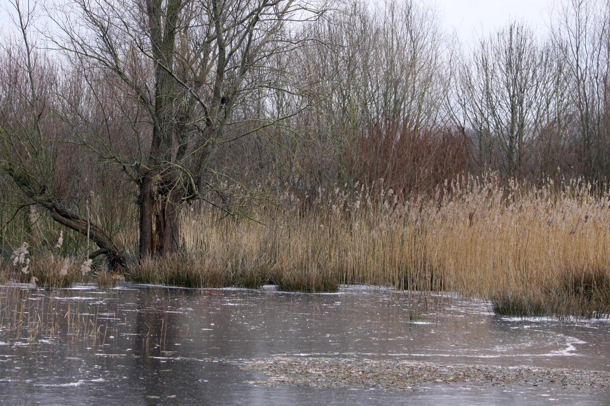 Gastenkamers Boussemaere Ichtegem Buitenkant foto